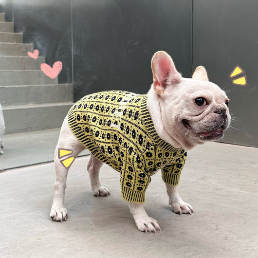 Suéter Abrigador para Perros y Gatos - Image 9