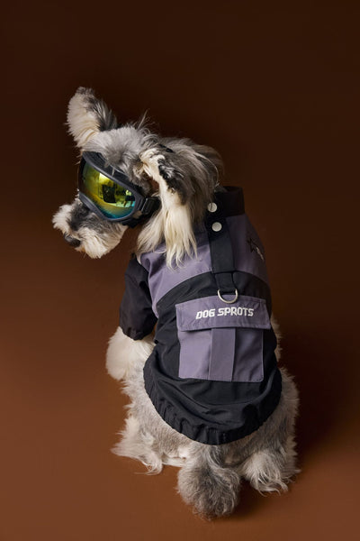 Ropa Deportiva Otoñal para Perros Macho - Diseño Elegante y Funcional - Image 12
