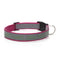 Collar Reflectante para Perro con Nombre Personalizado Bordado