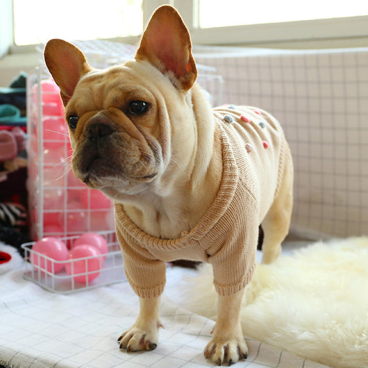 Ropa Térmica para Mascotas - Abrigo Vaca Francesa para Otoño e Invierno - Image 4