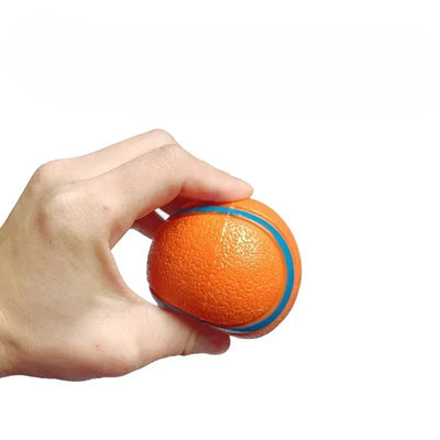 Pelota de Juego Resistente para Perros - Juguete Elástico para Traer y Masticar - Image 9