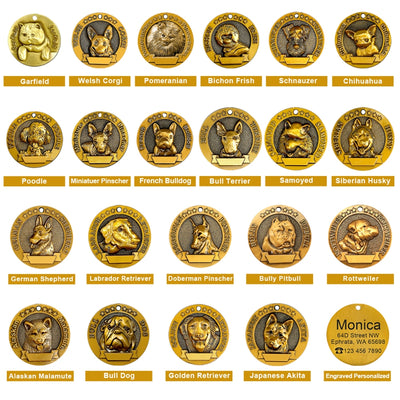 Placa de Identificación para Perros Grabada en Metal - Antiloss - Image 9