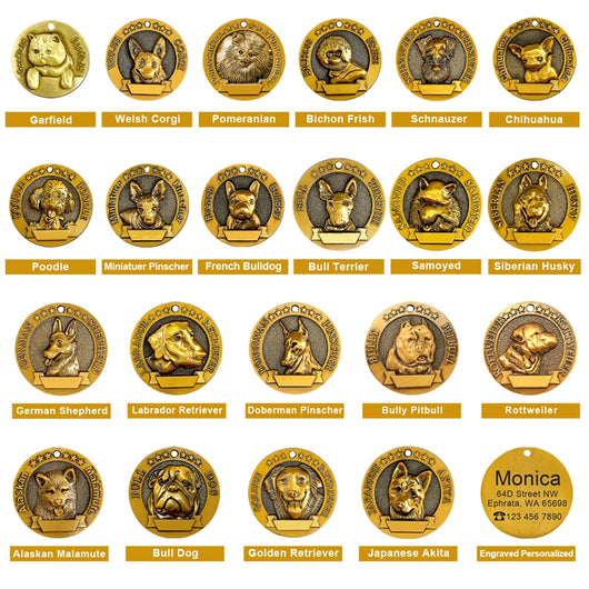 Placa de Identificación para Perros Grabada en Metal - Antiloss - Image 9