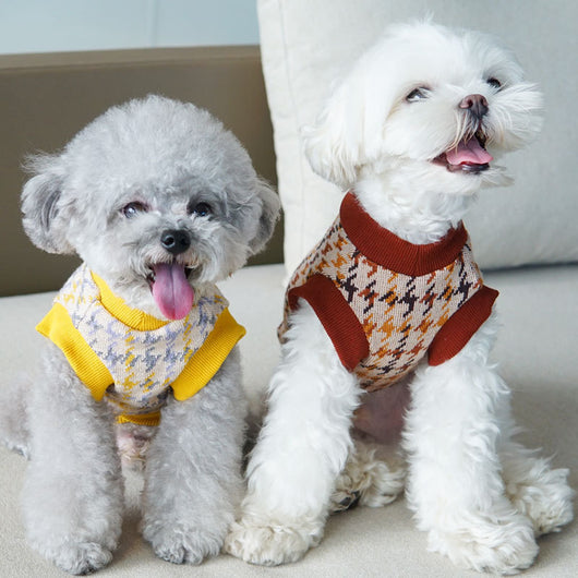 Chaleco para Perros Otoño Invierno Cuello en V Estilo Japonés y Coreano - Image 9