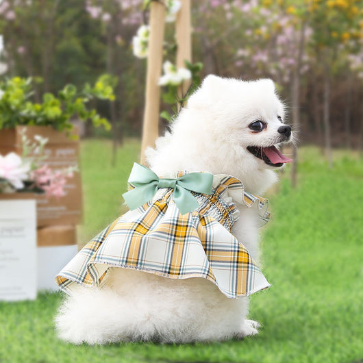 Vestido Princesa para Pasear Perros - Tallas Pequeña y Mediana - Image 2