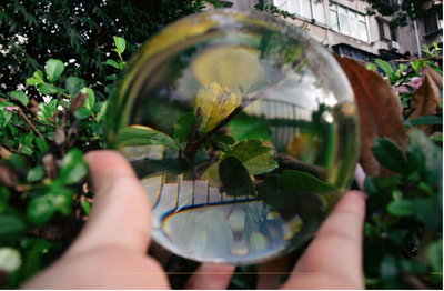 Bola de Cristal con Base de Madera - Image 8