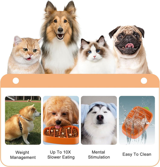 Comedero Lento para Perros Pequeños y Medianos - Diseño de Zanahoria Antideslizante - Image 3