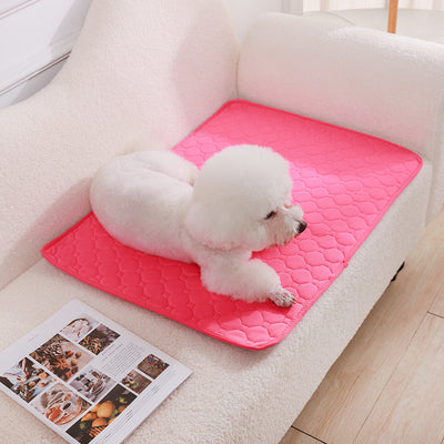 Pañal Lavable para Perros con Almohadilla Absorbente Antideslizante - Image 8
