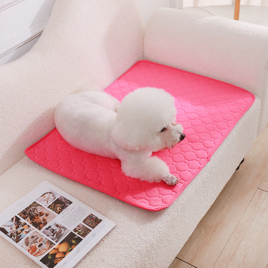 Pañal Lavable para Perros con Almohadilla Absorbente Antideslizante - Image 8