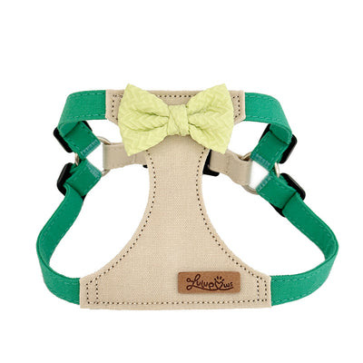 Chaleco Arnés de Cuerda para Perros Pequeños - Image 14