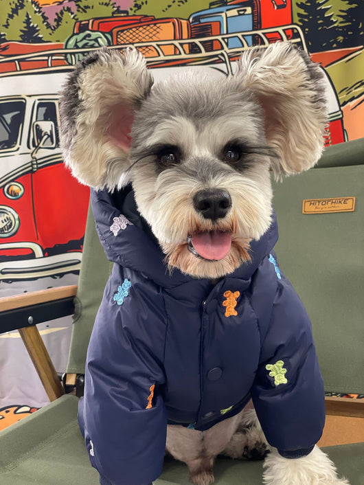 Abrigo Térmico con Capucha para Perros Pequeños - Chaqueta Acolchada para Schnauzer, Pomerania y Pug - Image 12