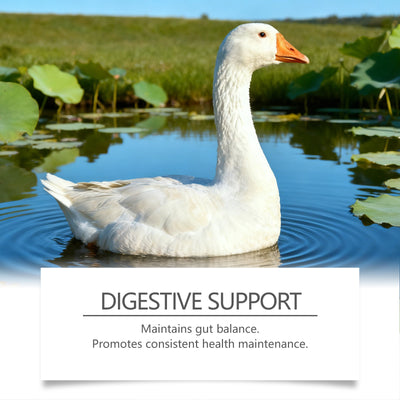 Tabletas de Suplemento Nutricional para Aves de Corral y Animales Pequeños - Image 7