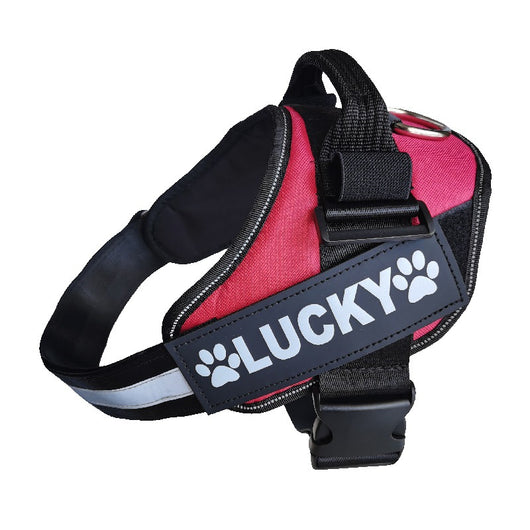 Arnés Pectoral para Perro con Etiqueta Adhesiva NO TOCAR - Image 9