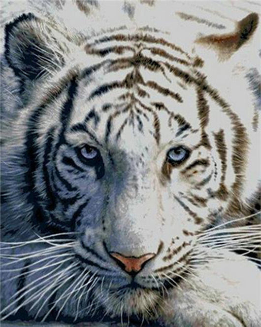Cuadro de Diamantes Tigre Completo - Pintura DIY con Taladros Redondos y Cuadrados - Image 6