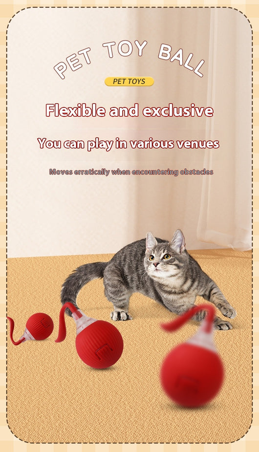 Interactive cat toy set featuring a blue rolling ball with a rope and a feather wand with a suction cup base. - Image 16