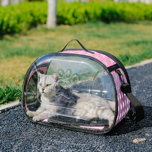 Mochila Escolar Transparente para Mascotas - Diseño Portátil para Gatos - Image 8
