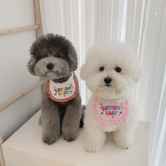 Babero Absorbente para Mascotas - Toalla Saliva Perros y Gatos - Image 6