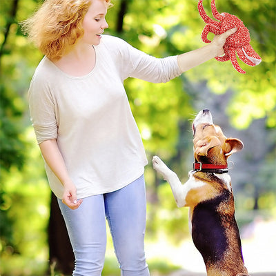 Juguetes Interactivos para Mascotas con Sonidos y Resistencia a Mordidas - Image 10