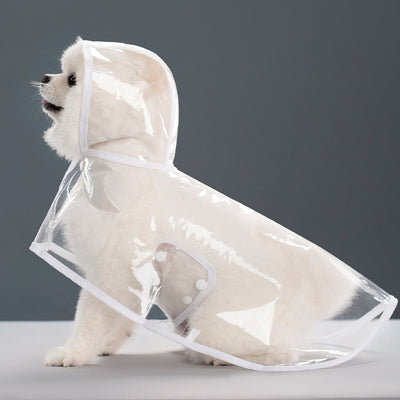 Impermeable Transparente para Perros - Image 2