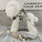 Juego de Correas de Cuero para Mascotas - Línea Fashion