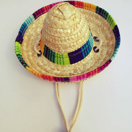 Sombrero de Paja Tejido para Mascotas - Gorro Mexicano para Perros y Gatos