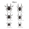 ZZ 001 Araña 48 Piezas