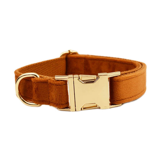 Collar de Perro Terciopelo Suave - Image 14