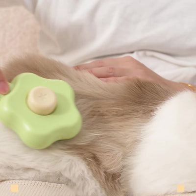 Peine Mágico Varita para Gatos con Limpieza Automática - Acero Inoxidable - Image 8