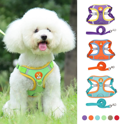 Arnés y Correa para Perro Pequeño - Set Ajustable con Reflectantes