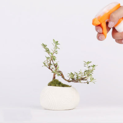 Plantas Flotantes con Levitación Magnética - Image 4