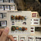 Esmalte de Uñas Wear Bright - Colores Vibrantes