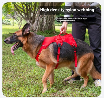 Orange dog harness with reflective trim, black buckles, and a top handle, designed for large dogs. - Image 18