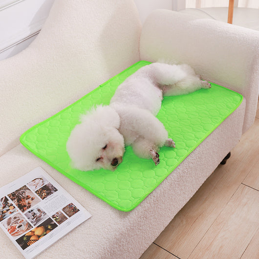 Pañal Lavable para Perros con Almohadilla Absorbente Antideslizante - Image 7