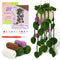 Morado Flower Vine Basket Series Summary
