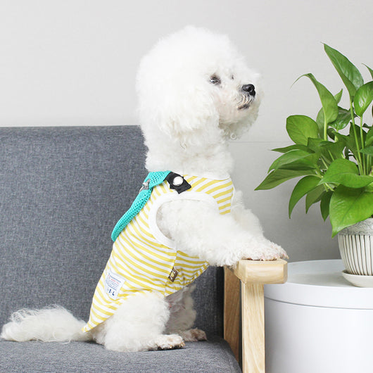 Mochila Chaleco para Perros Pequeños S-XXXL - Image 10