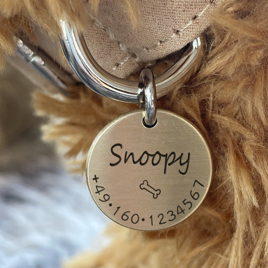 Placa de Identificación Antiextravío para Mascotas - Image 6