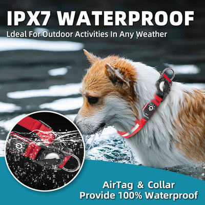 Collar Inteligente Impermeable con Localizador GPS para Mascotas - Image 4