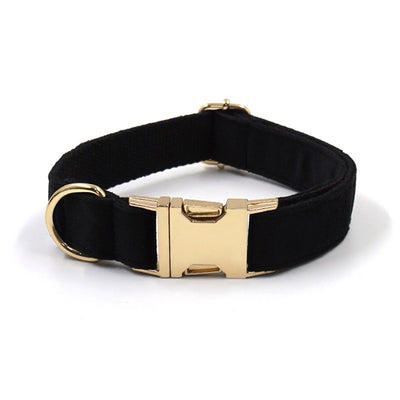 Collar Antiextravío para Perros con Diseño Elegante