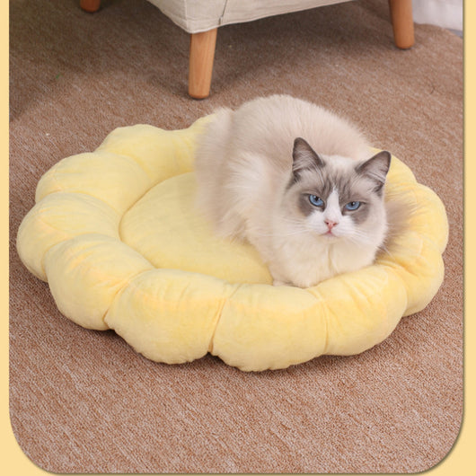 Cama Nido Doble Cara para Perros y Gatos 50x50cm - Diseño Pétalos Multicolor - Image 2