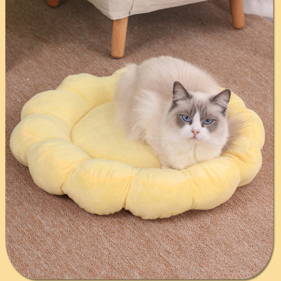 Cama Nido Doble Cara para Perros y Gatos 50x50cm - Diseño Pétalos Multicolor