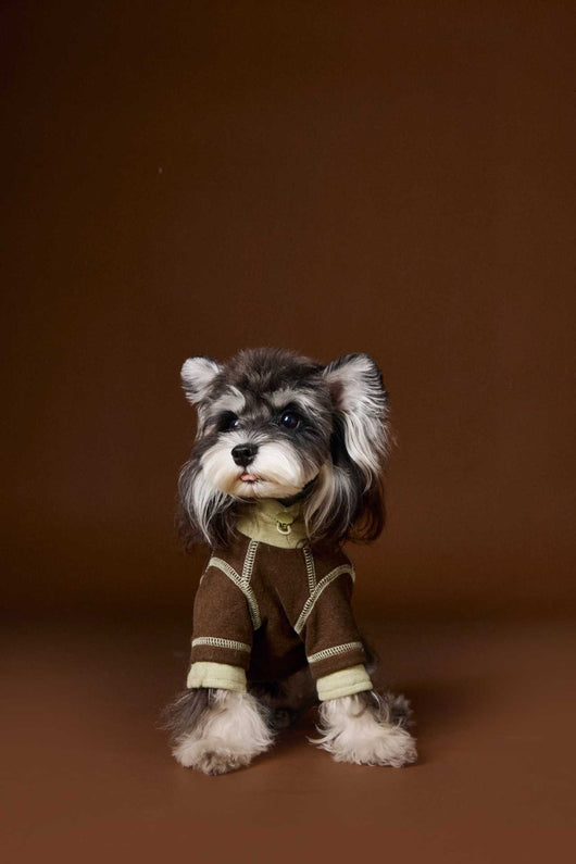 Ropa para Perros Teddy Schnauzer Bichon Bicolor Cómoda - Image 46