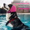 Gorro Impermeable para Perros - Protección Otoño e Invierno