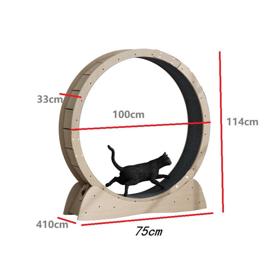 Rodillo Silencioso para Gatos - Caminadora Grande para Pérdida de Peso - Image 10