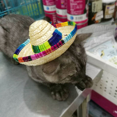 Sombrero de Paja Tejido para Mascotas - Gorro Mexicano para Perros y Gatos - Image 10