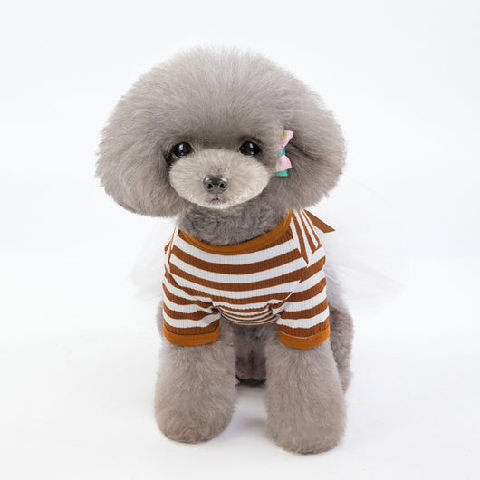 Ropa para Perros Pequeños - Disfraz Osito Teddy - Image 5