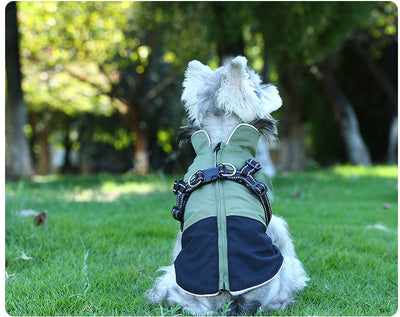 Ropa Impermeable para Mascotas en Algodón Resistente - Image 14