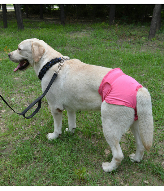 Pañales Higiénicos para Perros con Velcro Ajustable - Image 11