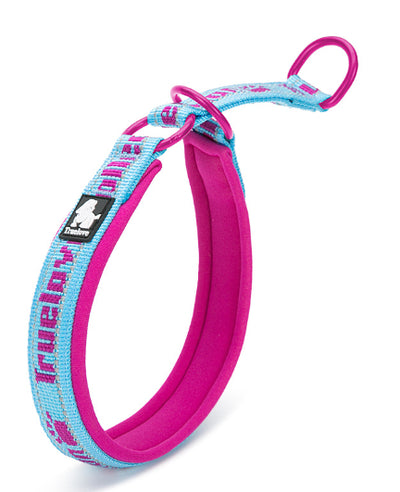 Collar Ajustable para Perro Truelove con Tela de Buceo Reflectante - Image 3