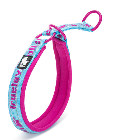 Collar Ajustable para Perro Truelove con Tela de Buceo Reflectante - Image 3