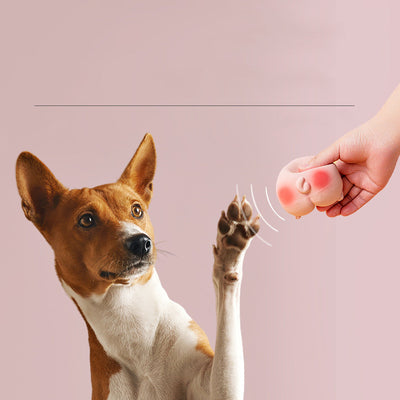 Juguete Interactivo de Látex con Sonidos Divertidos para Mascotas - Image 8